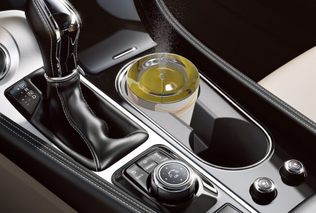 CarDes im Auto Desinfektion im Auto