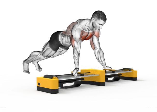 Butterfly/ Push-Up Hometrainer in Anwendung
