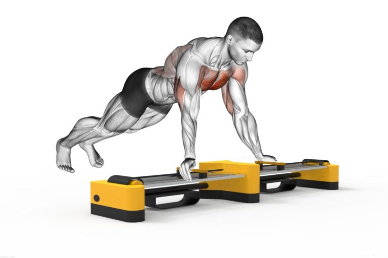 Butterfly/ Push-Up Hometrainer in Anwendung