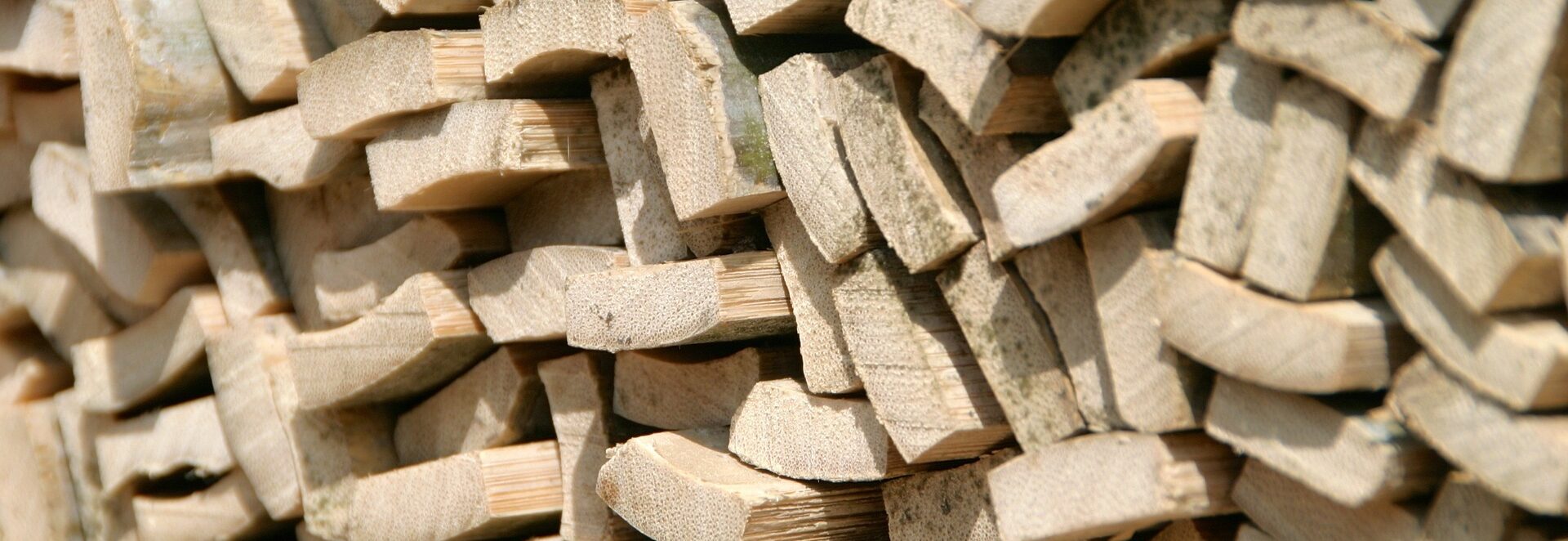 Holz